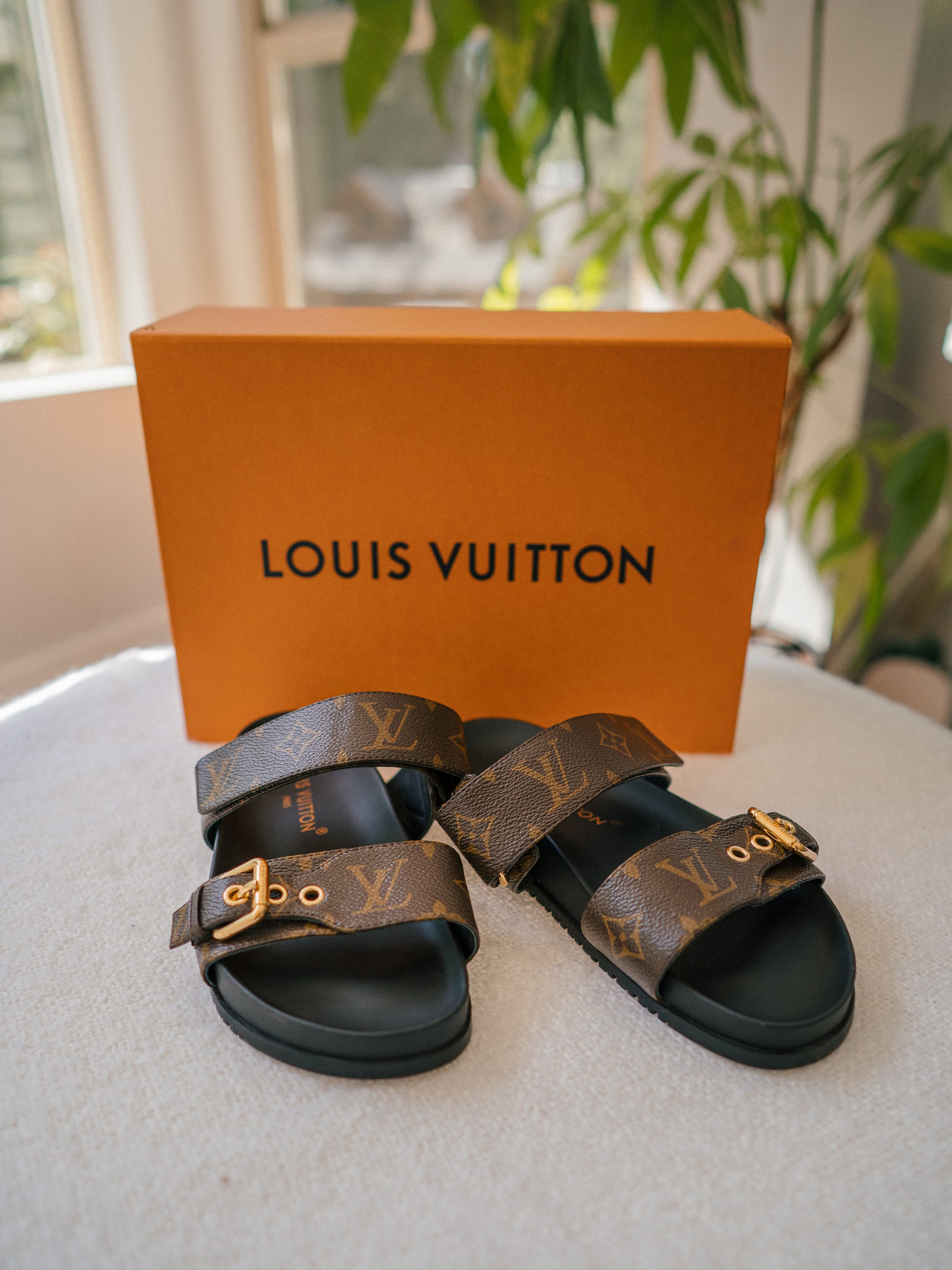 Bom Dia Flat Comfort Mule Sandals